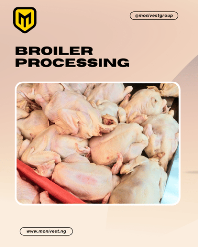 🐔 Broiler Scouting & Processing