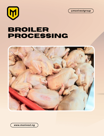 🐔 Broiler Scouting & Processing